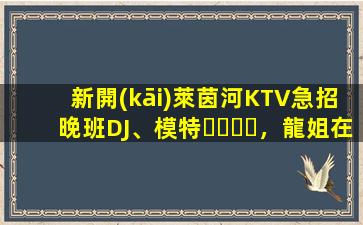 新開(kāi)萊茵河KTV急招晚班DJ、模特，龍姐在杭州帶你上班